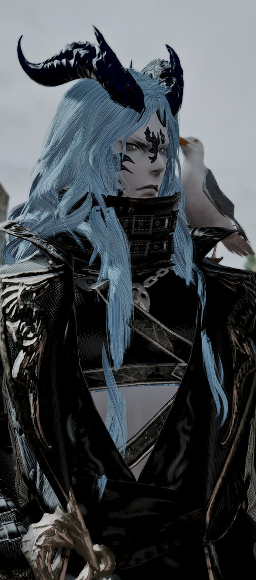 Photo by Emannuel Le Guellec